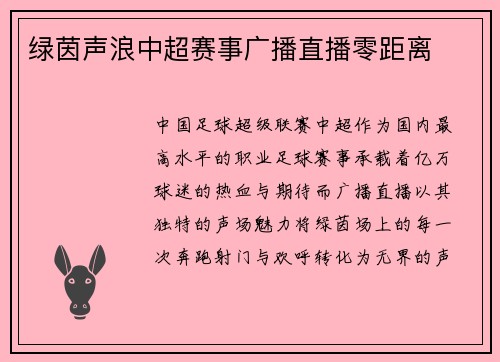 绿茵声浪中超赛事广播直播零距离