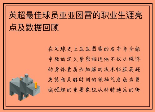 英超最佳球员亚亚图雷的职业生涯亮点及数据回顾